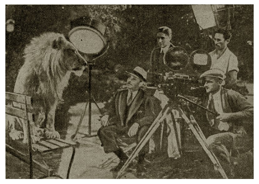 lew w roli aktora filmowego